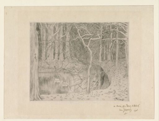 Forest with pond and swans