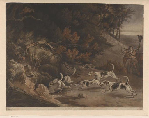 Hunter and hunting dogs on a fox hunt