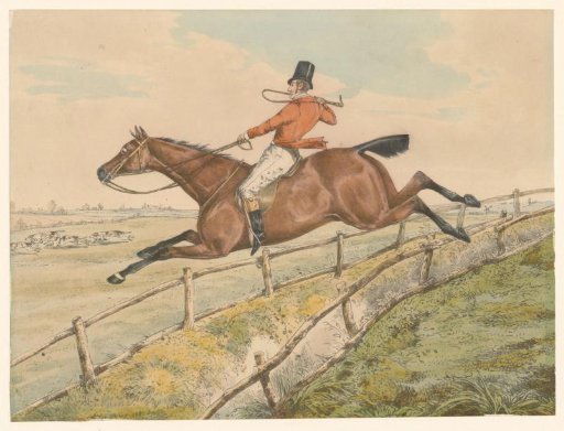 Rider with horse jumping over an obstacle