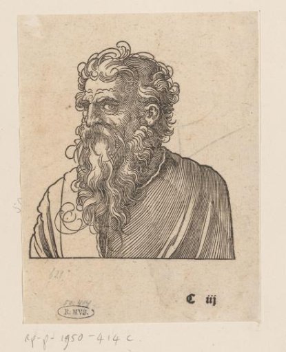 Study for a Man with a Beard