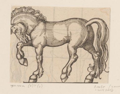 Study for a Horse