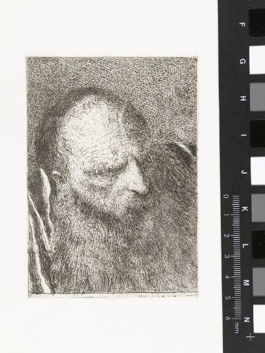 Man with Beard and Bristling Eyebrows