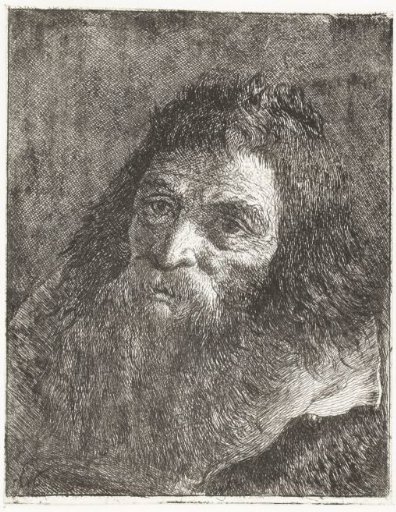 Man with long hair and beard