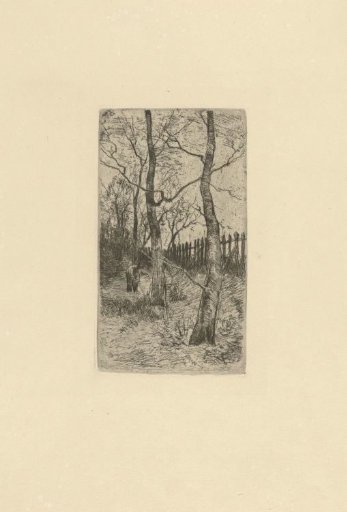 Woodcutter