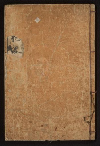 Concise Sketches of Flowering Plants