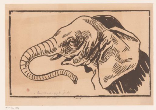 Elephant