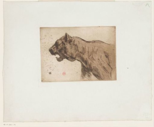 Panther