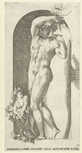Bacchus with Drinking Cup and Vine Branches