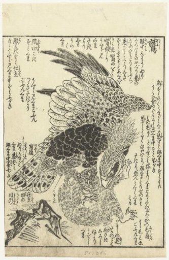 Eagle with a Monkey in Its Claws