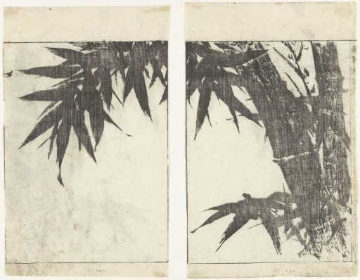 Bamboo