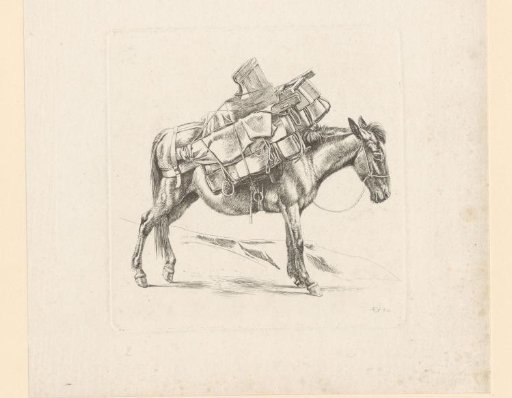 Loaded donkey