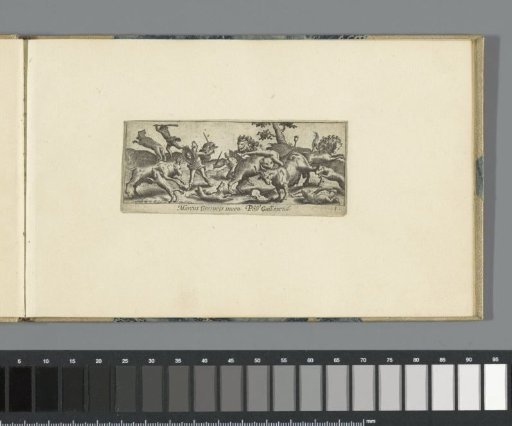 Hunt of various animals