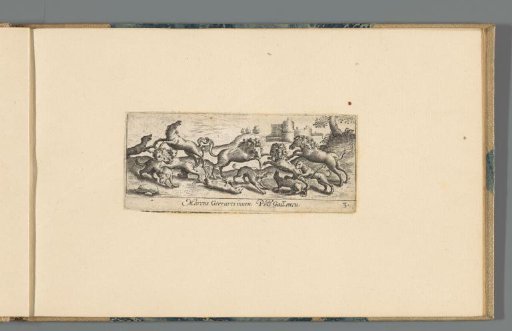 Hunting lions, horses and dogs