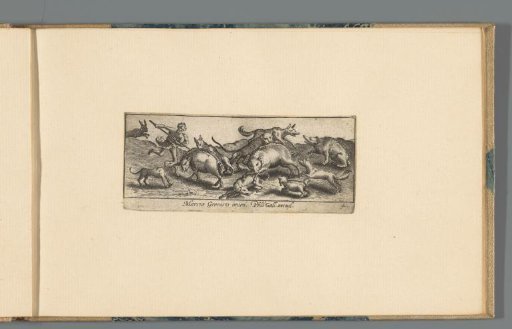 Boar hunt