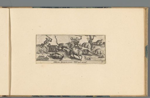 Hunters and hunting animals