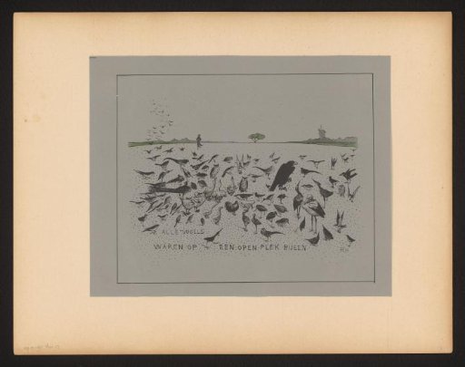 All the birds had gathered in an open space