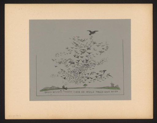 At a given signal, the whole flock flew upwards