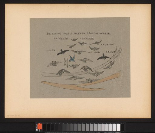 The small birds soon fell behind and, exhausted and weary, fell back to the ground