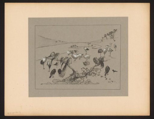 Group of sleeping birds