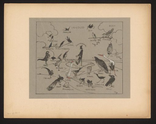 Various bird species