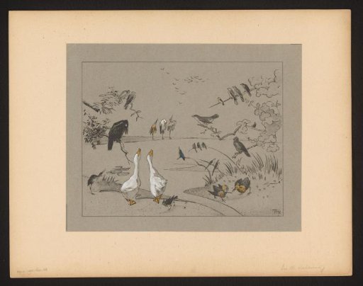 Various bird species around a pond
