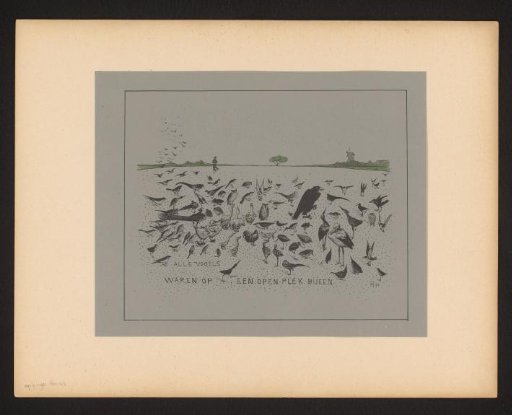 All the birds had gathered in an open space