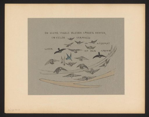 The small birds soon fell behind and, exhausted and weary, fell back to the ground