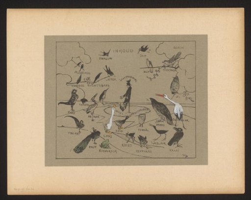 Various bird species