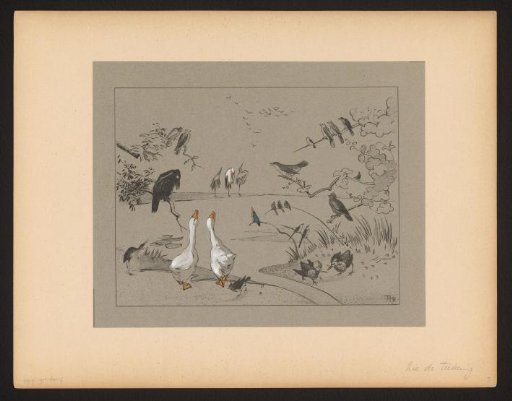 Various bird species around a pond