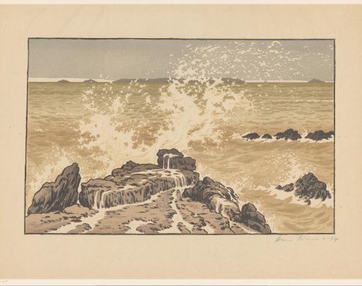 Wave Breaking on a Rocky Coast