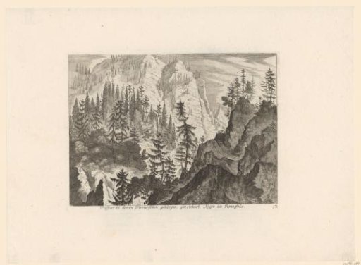 Rocky landscape with pine trees