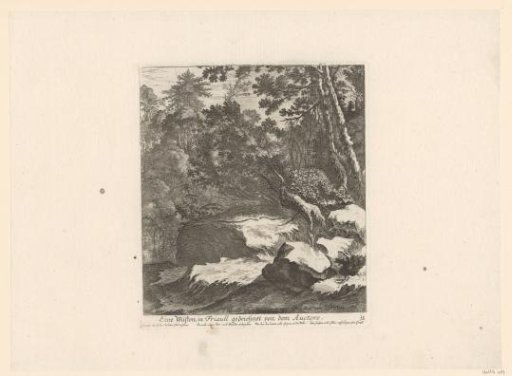 Wooded landscape at Friuli