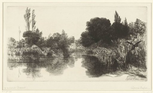 The Pond