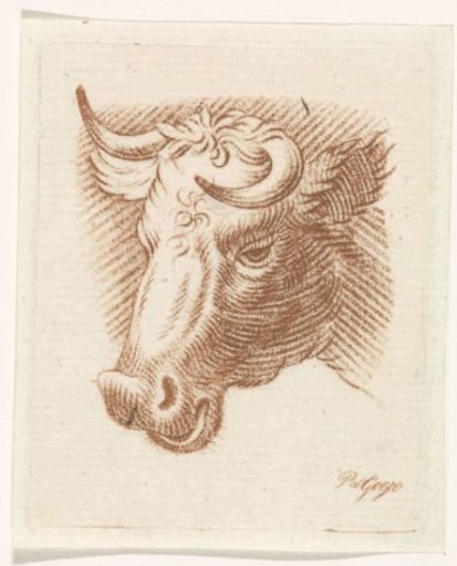 Head of a Bull