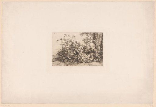 Peonies by a tree