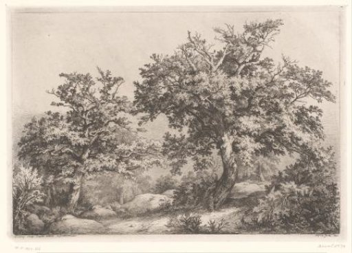 Landscape with two oaks