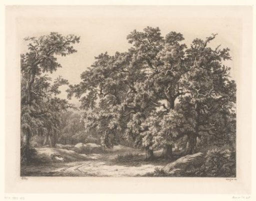 Wooded landscape