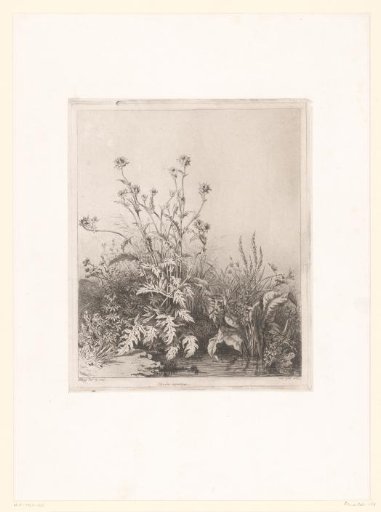 Pool with a thistle
