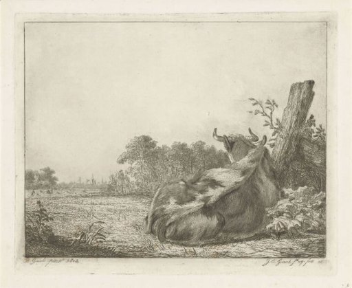 Piebald cow, lying by a wooden post