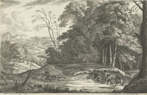 The road along the edge of the forest