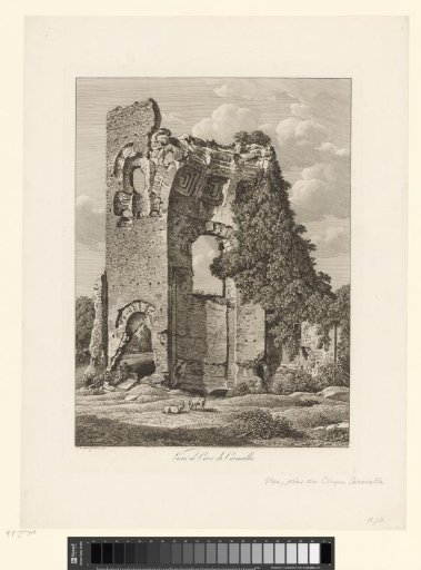 View of the ruin of the Circus of Maxentius