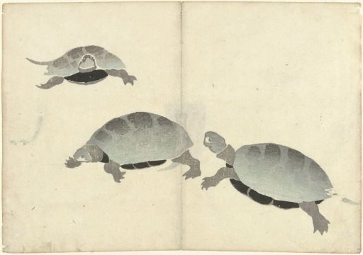 Three Tortoises