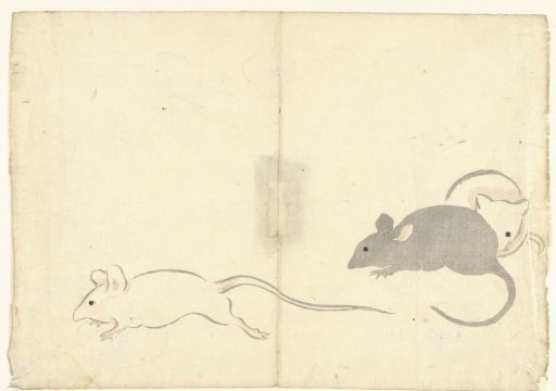 Three Rats
