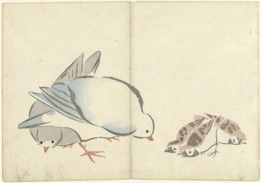 Doves and Sparrows