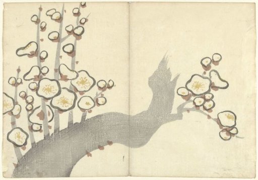 Plum Blossoms