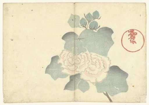 Peonies