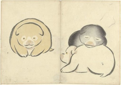 Three Young Puppies