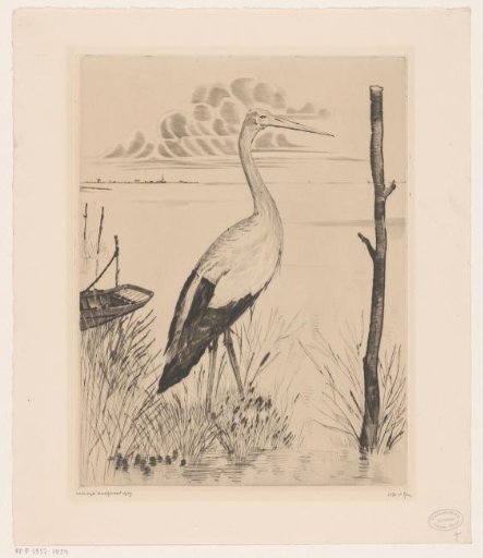Stork on a Bank