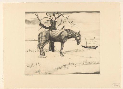 Horse in a snow-covered landscape