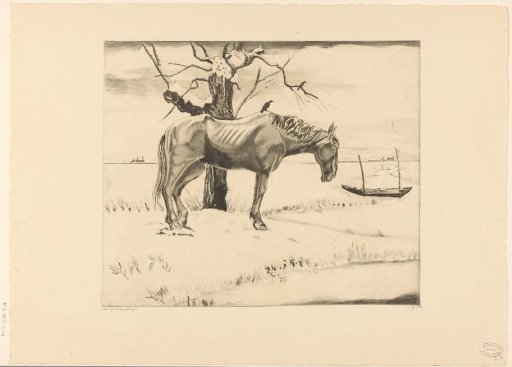 Horse in a snow-covered landscape